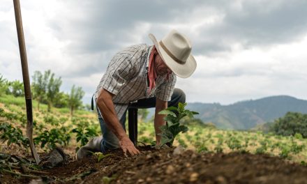 Es necesario la intervención del Gobierno Federal en el Campo Mexicano