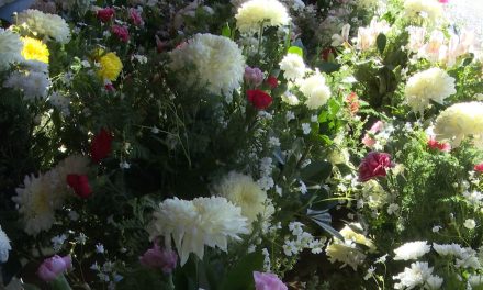 Incrementa 30 por ciento el costo de las flores en Saltillo