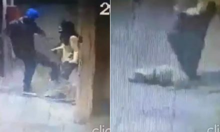 Sujeto mata de una patada a perro guía de mujer invidente en Venezuela (video)