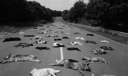 ¡No es un fotomontaje! Manuel Litran nos deja un valioso aprendizaje con ‘La foto de la vergüenza‘