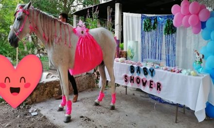 ‘Te amo como si fueras nuestra hija’; le hacen baby shower a una Yegua en Yucatán