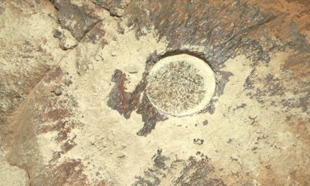 Robot de la NASA descubre algo inusual debajo de una roca