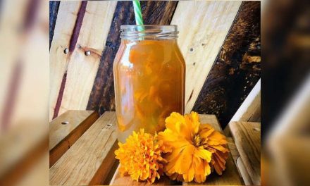 Te decimos como hacer agua de cempasúchil y sus importantes beneficios medicinales