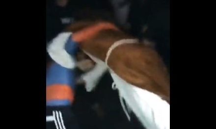 Spider Man tiene pelea épica contra Jesús en Halloween