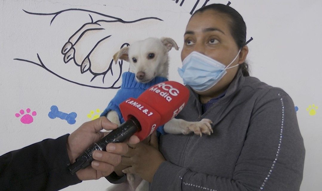 Brindan una segunda oportunidad a mascotas en Ramos Arizpe