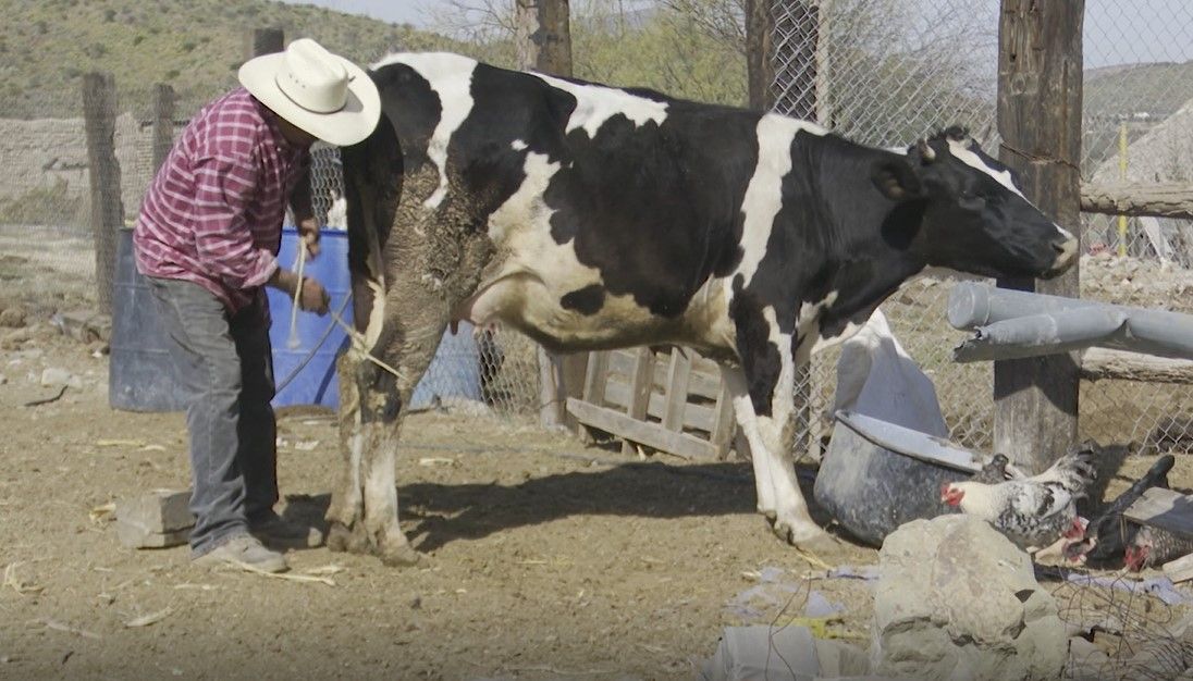 Campesinos de Coahuila ‘se rascan con sus uñas’ por abandono del Gobierno federal