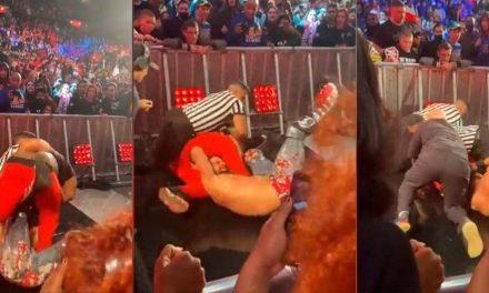 Fanático ataca a estrella de la WWE durante evento en vivo