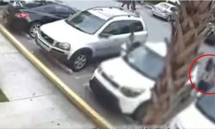Condecoran a niña que defendió a su mamá durante un asalto en Estados Unidos (video)