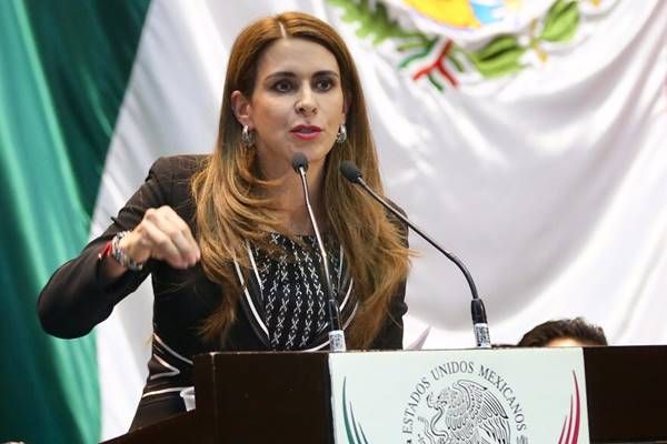 ¿Por qué acusan a Carolina Viggiano de filtrar datos de la boda de Santiago Nieto ?