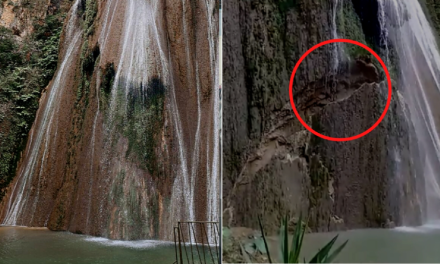 Se desprende una parte de la cascada Cola de Caballo en Nuevo León