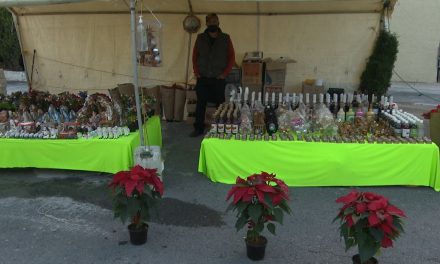Instalan Villa Navideña en terrenos de la Feria de Saltillo
