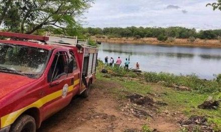 Mala suerte nivel: Huye de enjambre de abejas, se lanza a un lago y muere atacado por pirañas