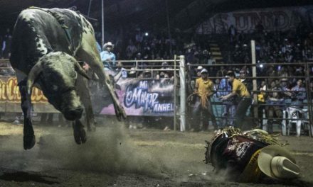 Niños montan toros en jaripeos por 30 mil pesos