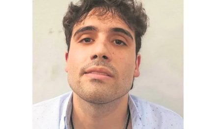 La captura de Ovidio Guzmán es prioridad de la 4T