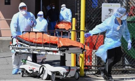 Contagios diarios superan los 500 mil en las últimas 24 horas en Estados Unidos