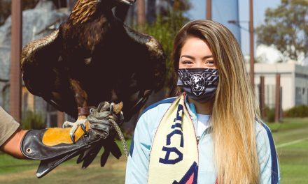 Se despide de Tigres Femenil… Katty Martínez rompe en llanto con emotivo mensaje