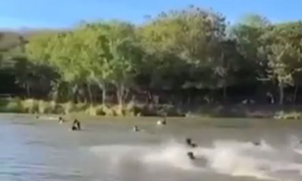 Puente colgante colapsa y caen once personas al río en Sinaloa (video)