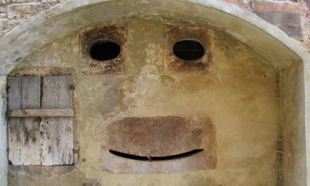 ¿Has visto caras en lugares inesperados? Tal vez padezcas este fenómeno
