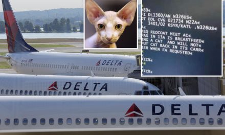 Mujer es descubierta mientras amamantaba a su gato en un vuelo