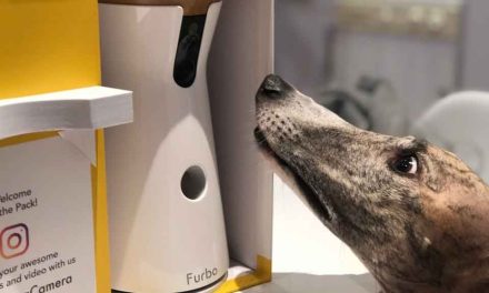 ‘Hola hermosa’; hacker espía a mujer a través de cámara para mascotas y la saluda
