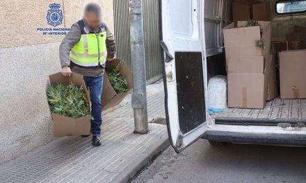 Sortean ‘narcocesta’ navideña con cocaína, alcohol y hachís en España