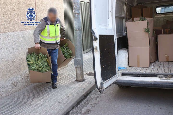 Sortean ‘narcocesta’ navideña con cocaína, alcohol y hachís en España