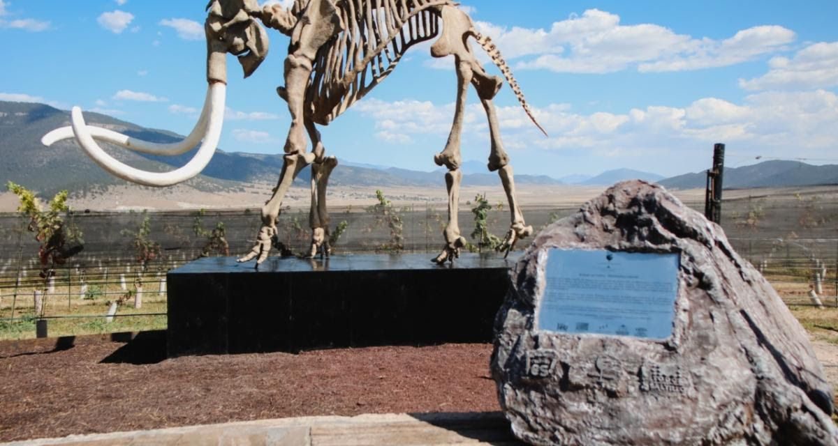 Turismo de Saltillo se consolida con la ruta Vinos y Dinos