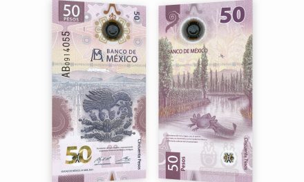 Venden billete de ajolote hasta en 45 mil pesos