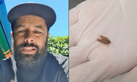 Pensó que era agua en el oído y resultó ser una cucaracha atorada (fotos)