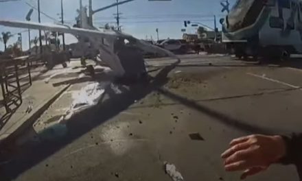 Su avioneta se desploma justo en las vías del tren bala; policías lo salvan a segundos del desastre (video)