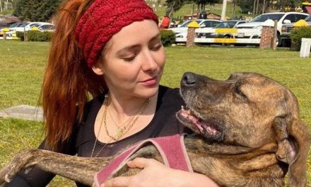 Ariadne Díaz sufre luego de que su perrita fuera devorado por un cocodrilo