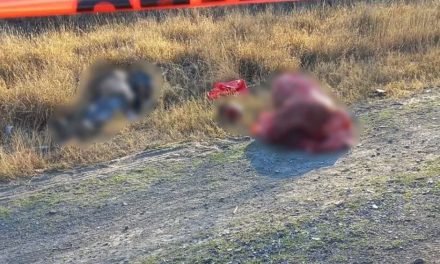 Encuentran cinco cuerpos con huellas de tortura en carretera a Monclova; uno de ellos fue decapitado