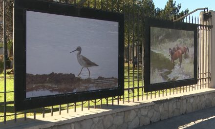 Inauguran exposición ‘Humedales de Coahuila’