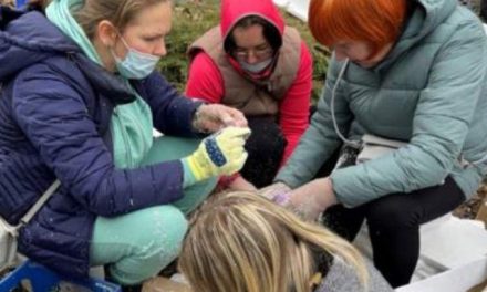 Mujeres ucranianas se preparan con bombas molotov para la llegada de tropas rusas