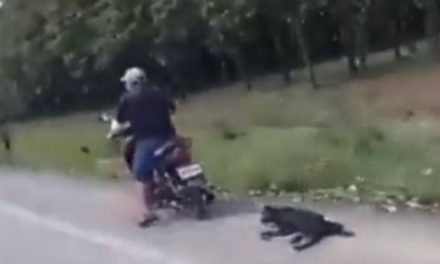 Motociclista arrastra a un perro; indigna a usuarios video de maltrato