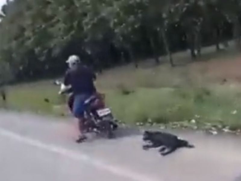 Motociclista arrastra a un perro; indigna a usuarios video de maltrato