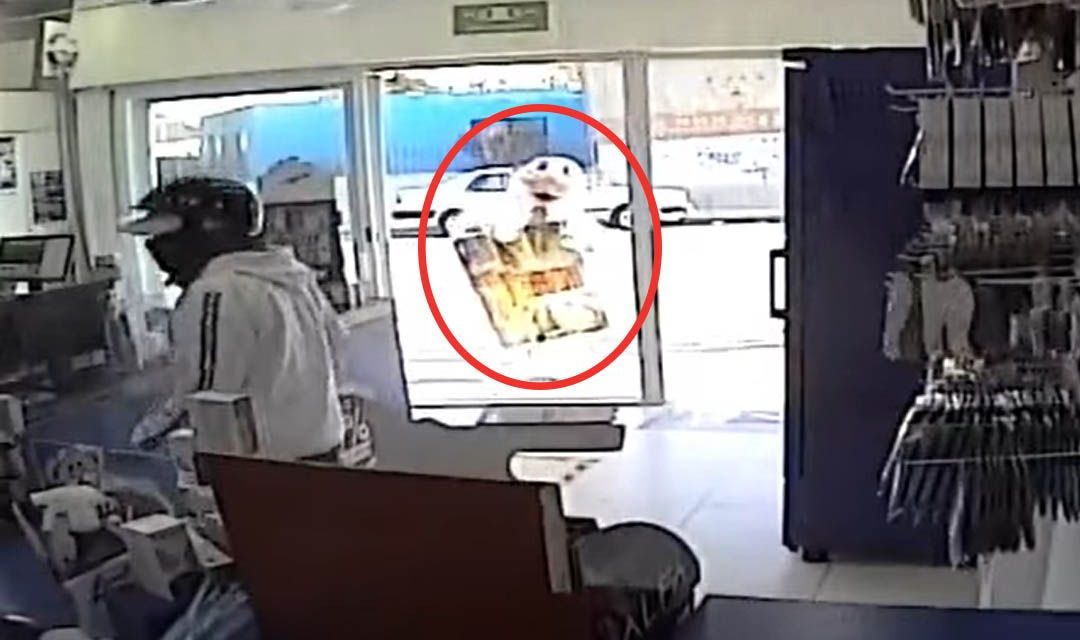 ¡Corre, Simi! Botarga huye de un asalto en la Ciudad de México (video)
