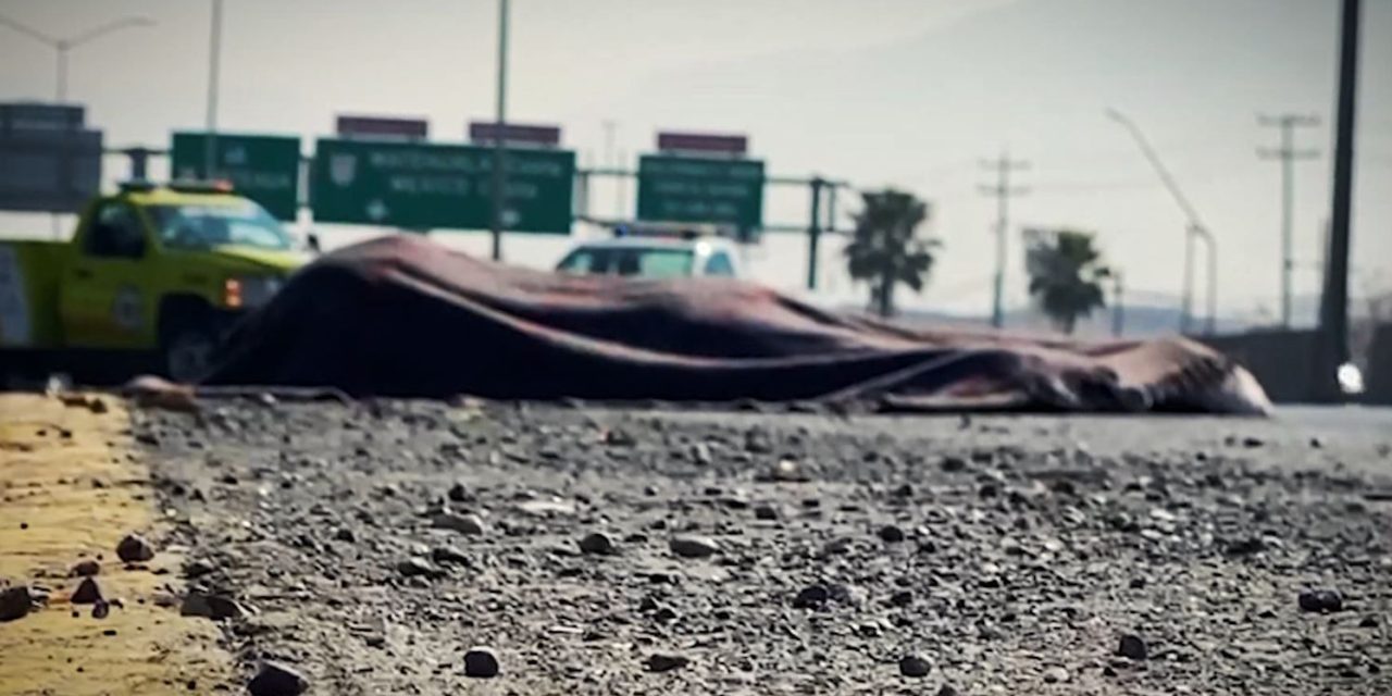 Muere atropellado por carro ‘fantasma’ en Saltillo