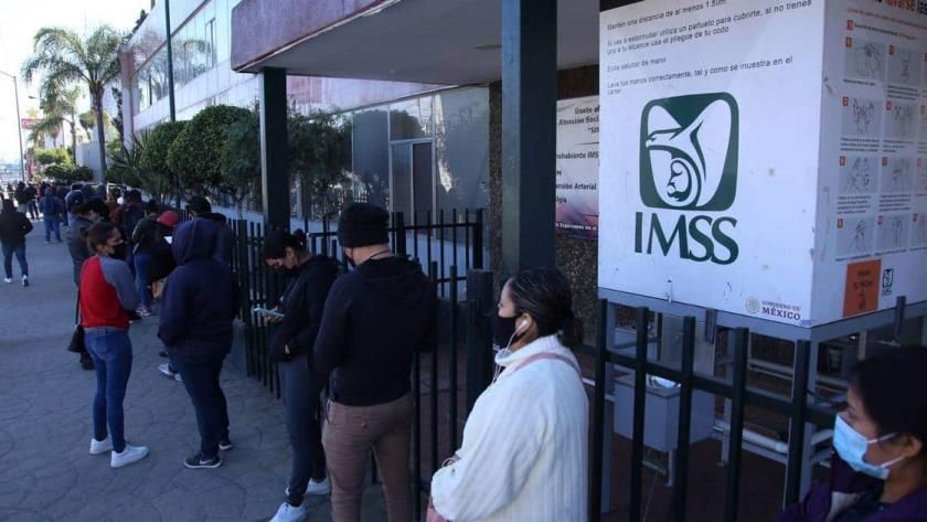 Así puede afiliarte al IMSS si eres trabajador independiente desde 40 pesos diarios
