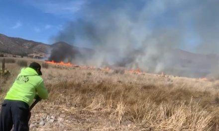 Fuego consume 60 hectáreas de pastizal en la Sierra de Arteaga
