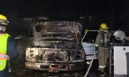 Rescatan a perrito de incendio en Saltillo; motor de una camioneta lo había provocado