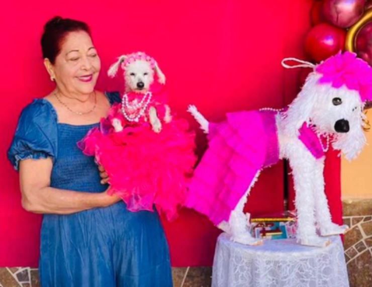 Festejan a lo grande los XV años de una perrita (Video)