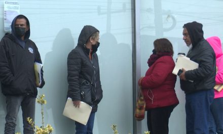 Responden contribuyentes a plaqueo de unidades en Coahuila