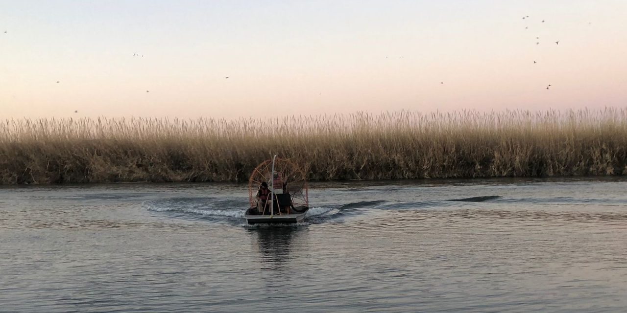 Localizan cuerpos de dos niños que flotaban sobre el Río Bravo