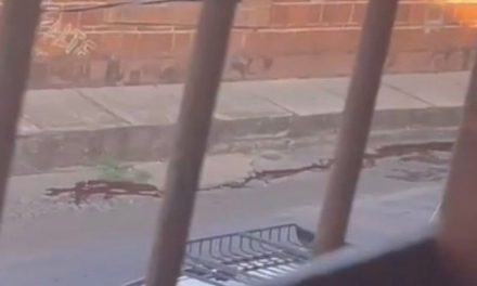 ‘Vean ese perro río de sangre’; aparecen más videos de la masacre en velorio de Michoacán