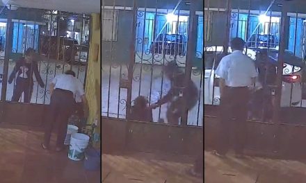 Brenda platicaba con su vecino y de pronto es secuestrada en San Luis (video)