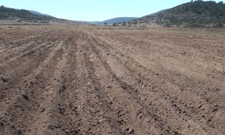 Complicada la situación en Coahuila por la sequía