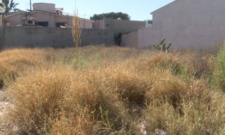 Obligados propietarios de terrenos baldíos en Saltillo a limpiarlos