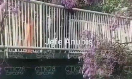 Oficiales evitan que joven se tire de un puente (Video)