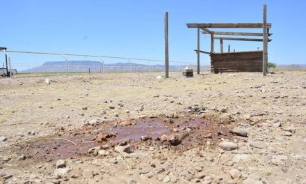 Masacre en carrera de caballos deja 7 muertos en Chihuahua; era un evento familiar y mataron inocentes